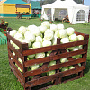 qxqryfxz agsqvuzs 2013 i3m1.JPG